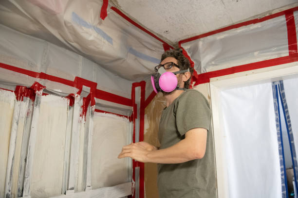 Best Mold Remediation for Healthcare Facilities  in Ansonia, OH